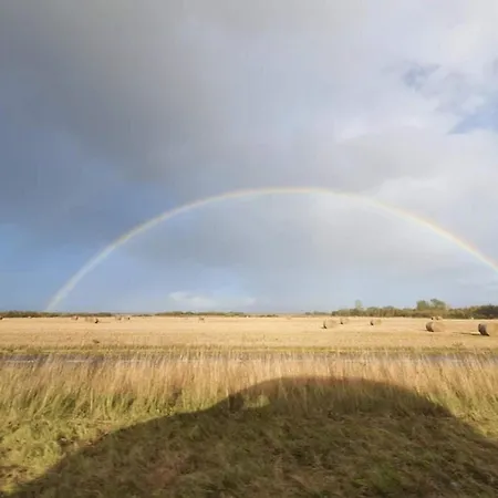 In Center * Frederikshavn
