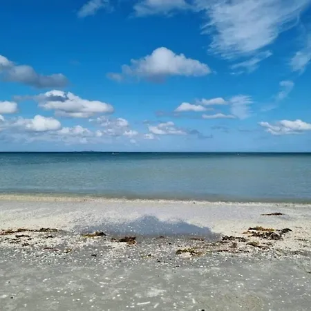 In Center * Frederikshavn