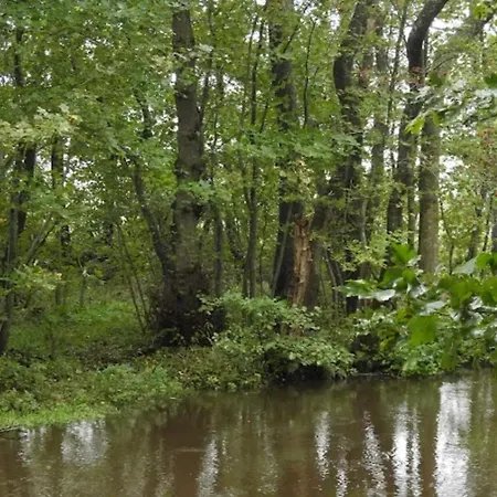 In Center Frederikshavn